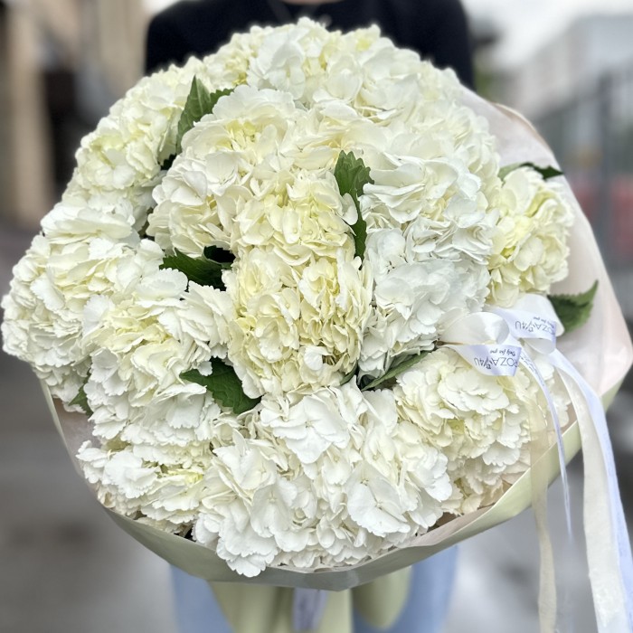 11 белых гортензий