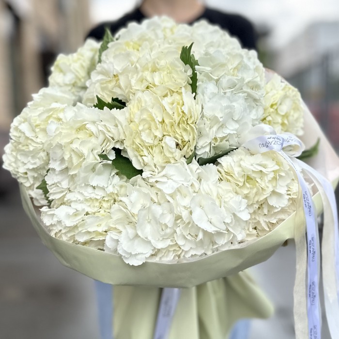 11 белых гортензий