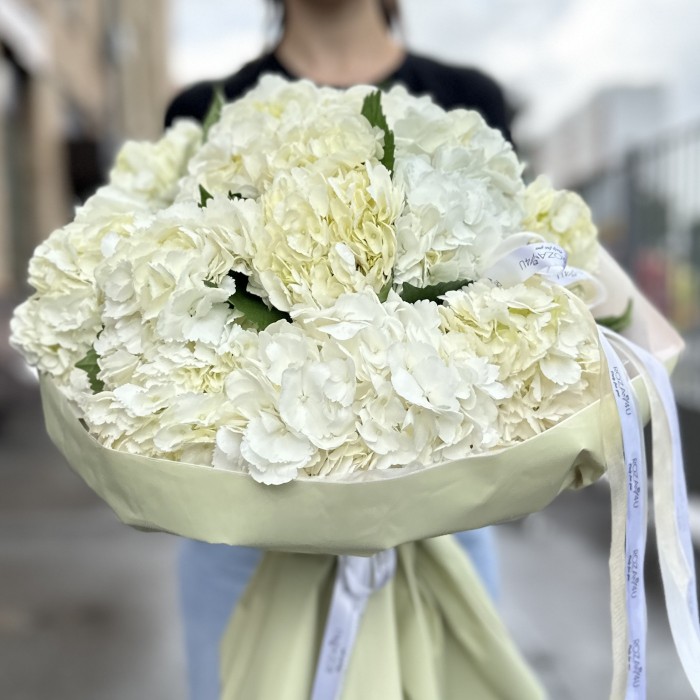 11 белых гортензий