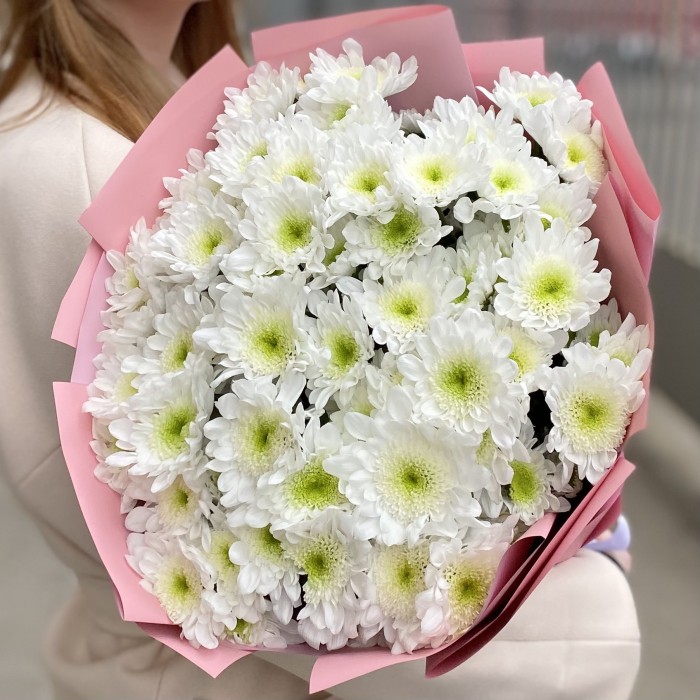 11 белых хризантем Коммандер