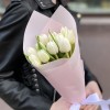 11 белых пионовидных тюльпанов