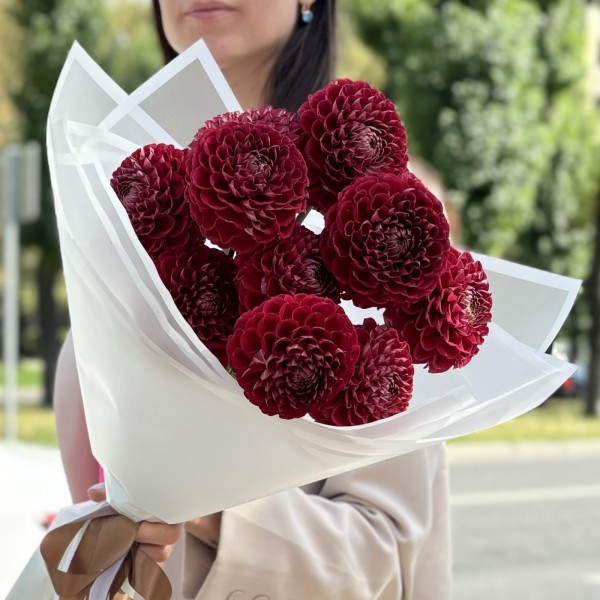 11 бордовых георгин Помпон