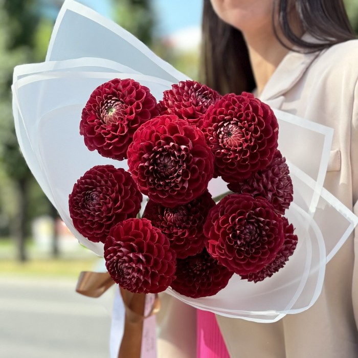 11 бордовых георгин Помпон