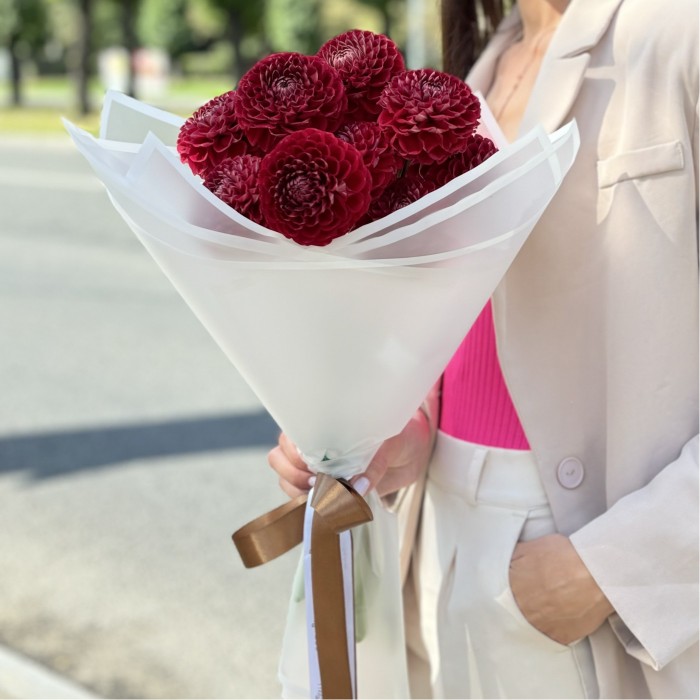 11 бордовых георгин Помпон