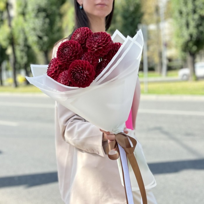 11 бордовых георгин Помпон