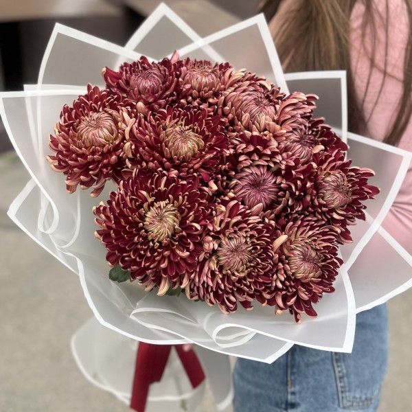11 бордовых хризантем
