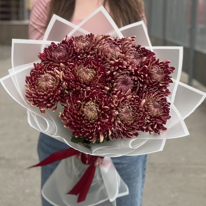 11 бордовых хризантем