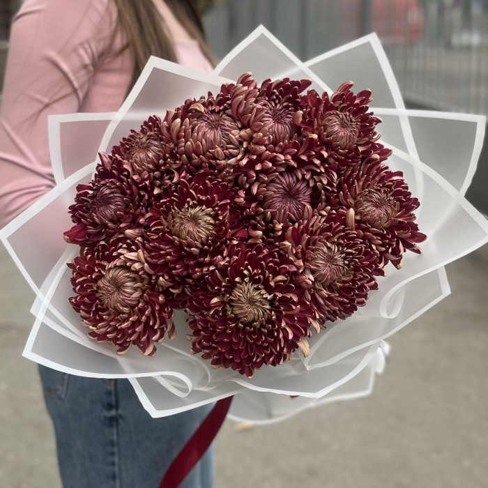 11 бордовых хризантем