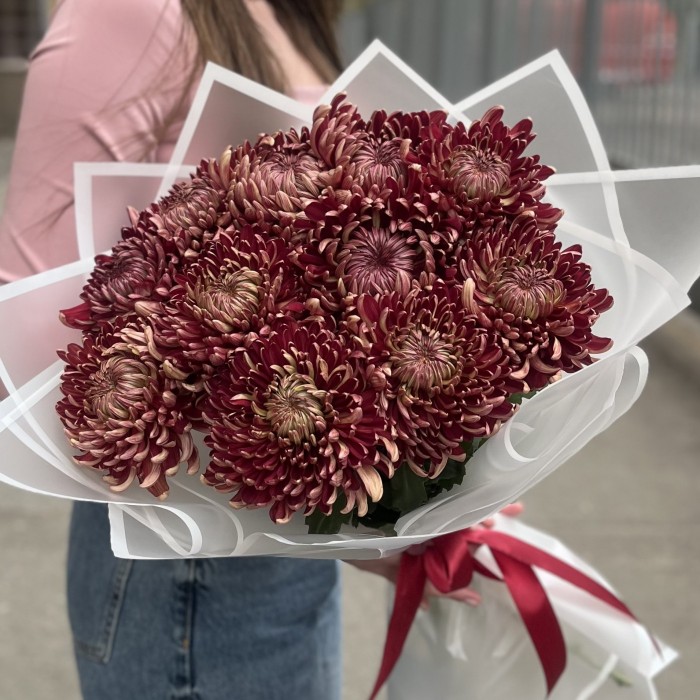 11 бордовых хризантем