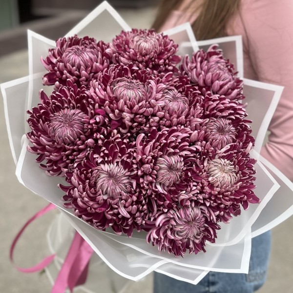 11 фиолетовых хризантем
