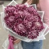 11 фиолетовых хризантем