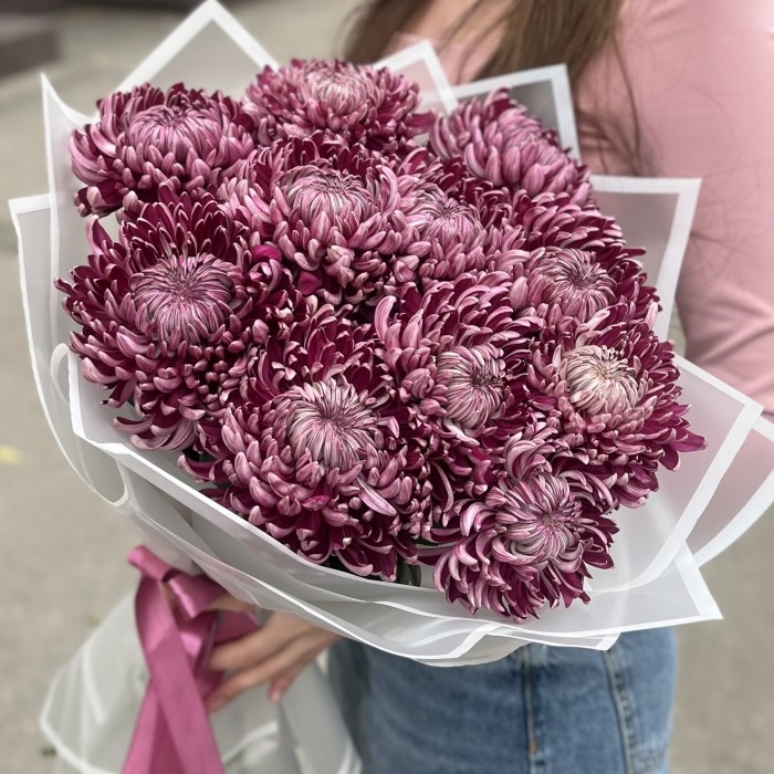 11 фиолетовых хризантем