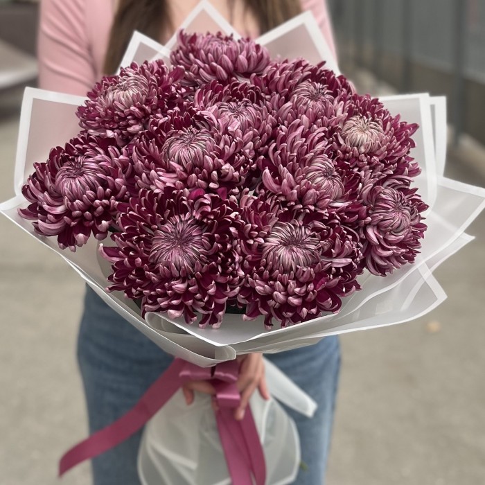 11 фиолетовых хризантем