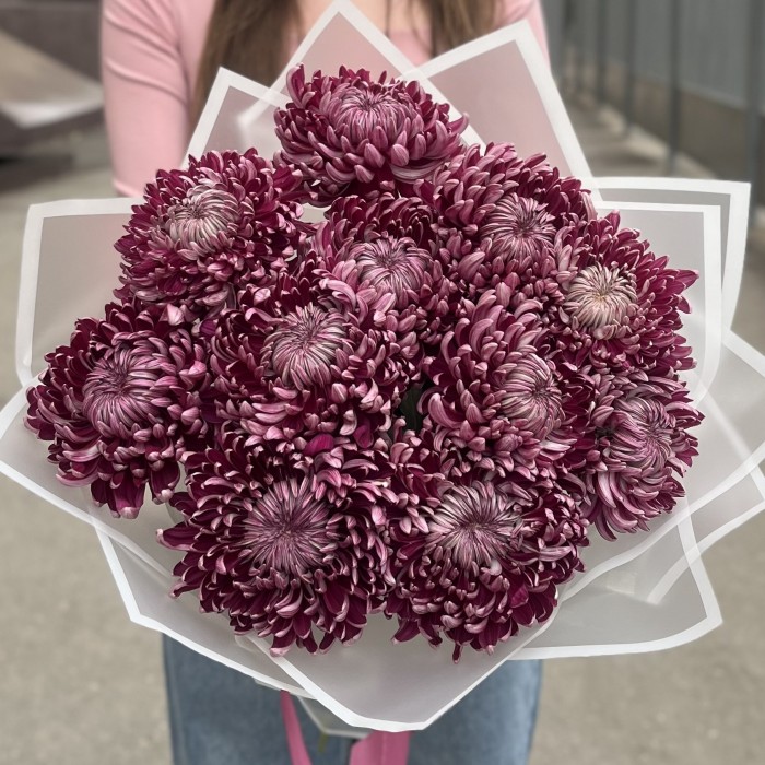 11 фиолетовых хризантем
