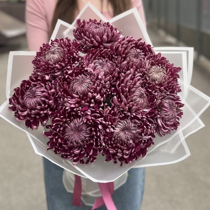 11 фиолетовых хризантем