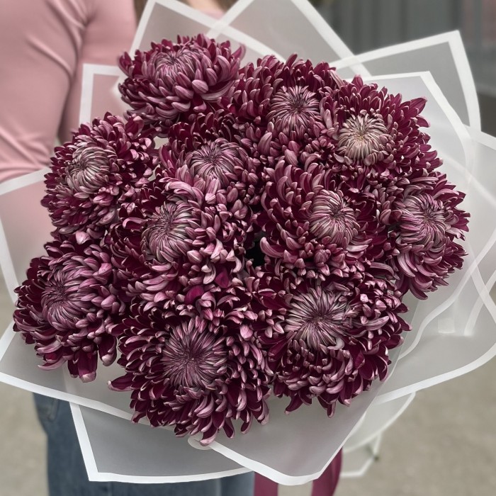 11 фиолетовых хризантем
