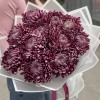 11 фиолетовых хризантем