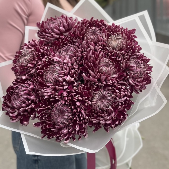 11 фиолетовых хризантем