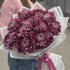 11 фиолетовых хризантем