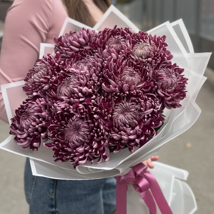 11 фиолетовых хризантем
