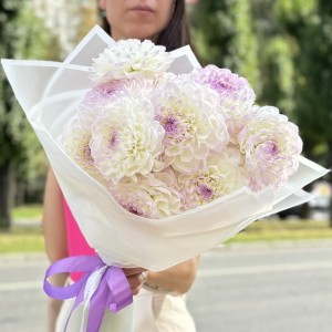 11 бело-сиреневых георгин
