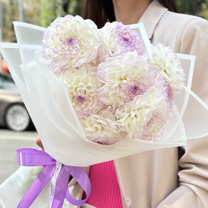 11 бело-сиреневых георгин