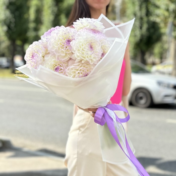 11 бело-сиреневых георгин