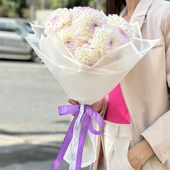 11 бело-сиреневых георгин