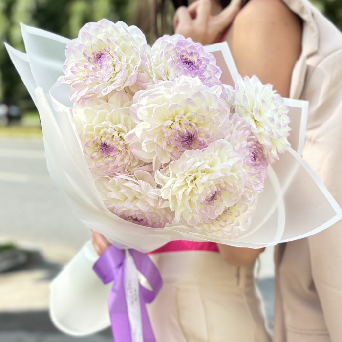 11 бело-сиреневых георгин