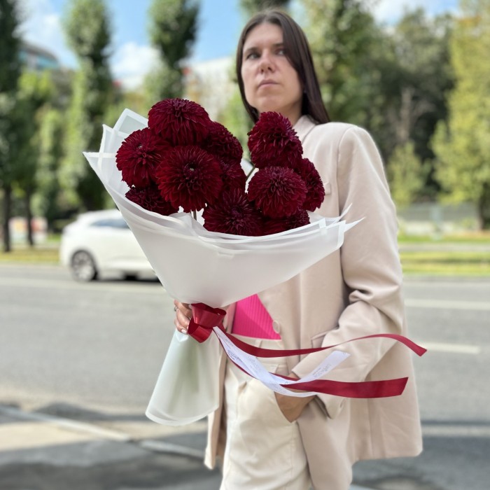 11 георгин бордовый помпон