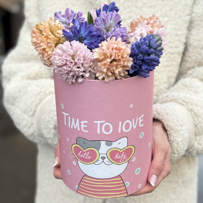 11 гиацинтов микс в коробке с котиком