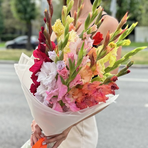 11 гладиолусов Микс