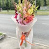 11 гладиолусов Микс
