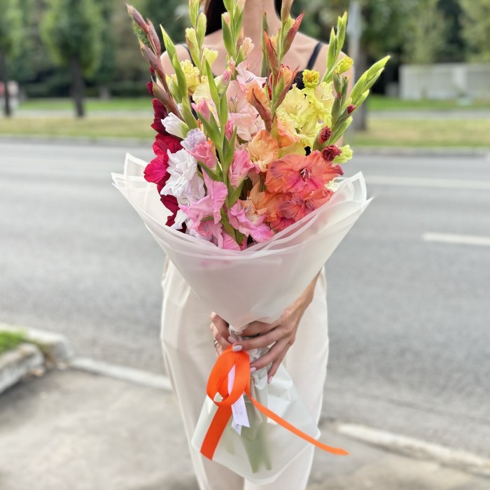 11 гладиолусов Микс