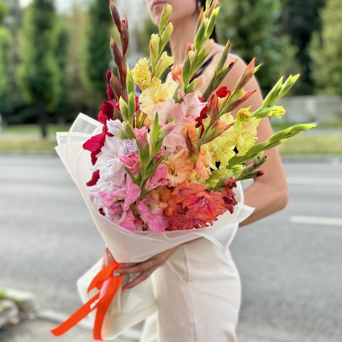 11 гладиолусов Микс