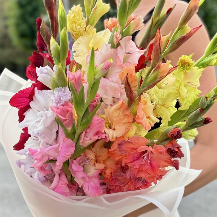 11 гладиолусов Микс