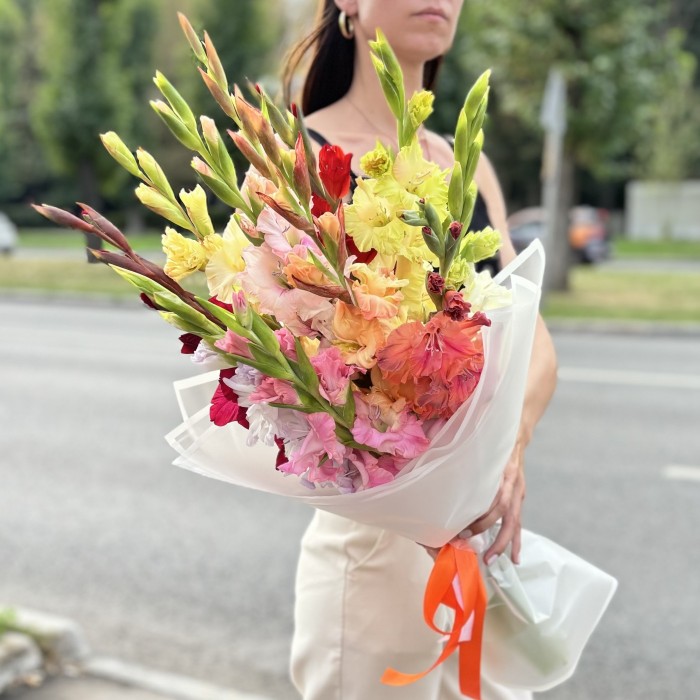 11 гладиолусов Микс