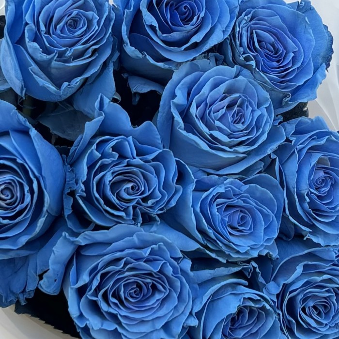 11 голубых роз Бэби Блю
