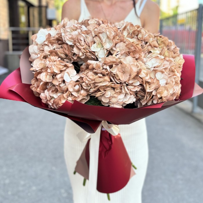 11 гортензий капучино