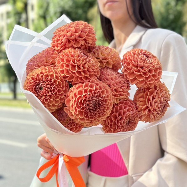 11 коричнево желтых георгин Помпон