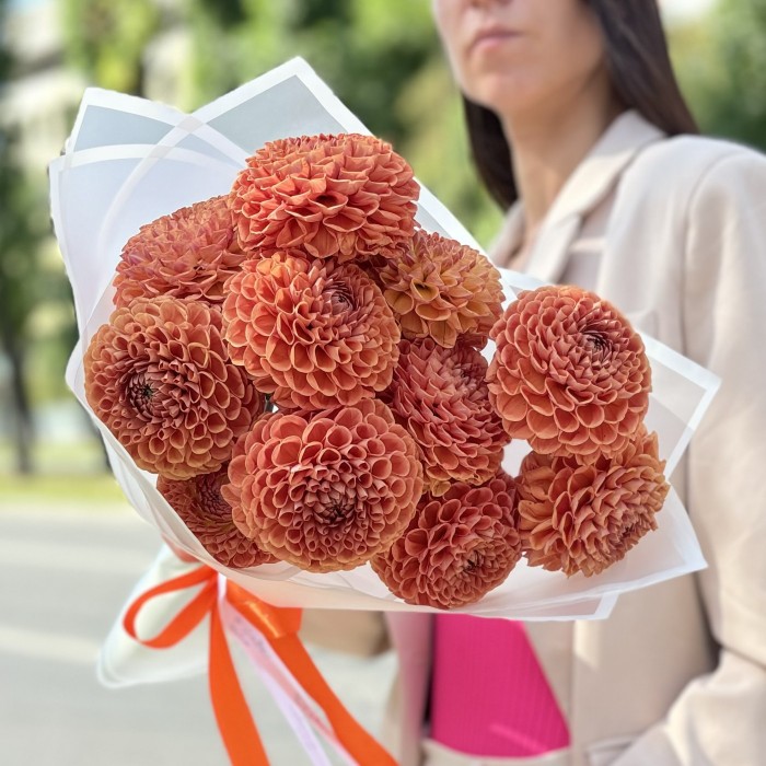 11 коричнево желтых георгин Помпон