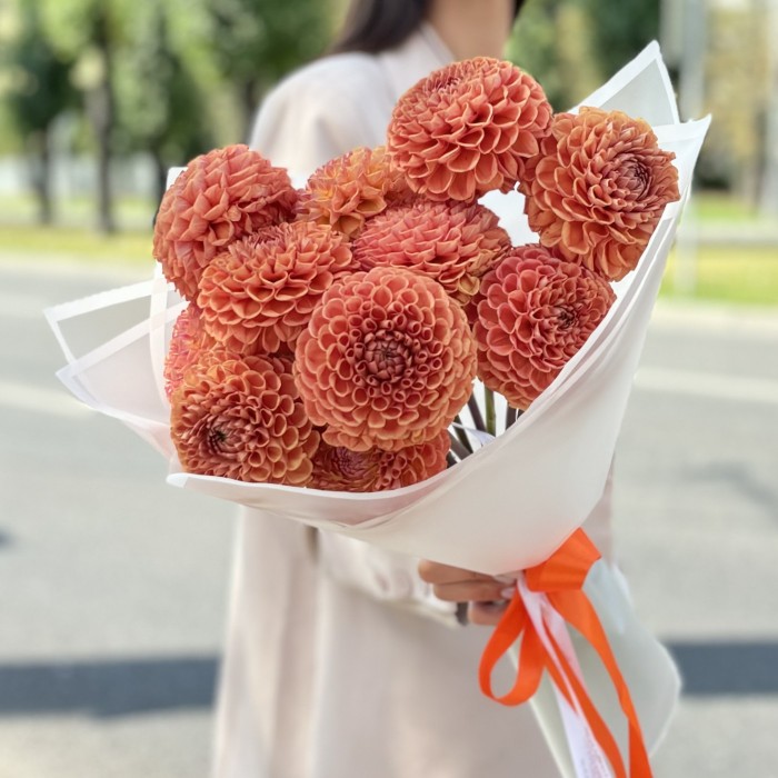 11 коричнево желтых георгин Помпон