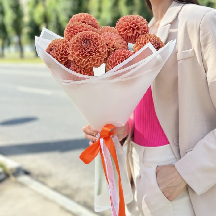 11 коричнево желтых георгин Помпон