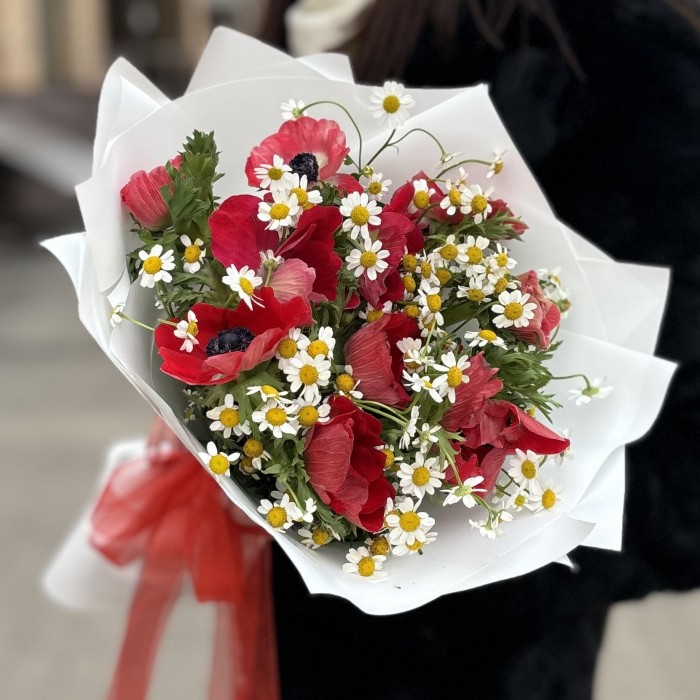 11 красных анемонов с ромашками