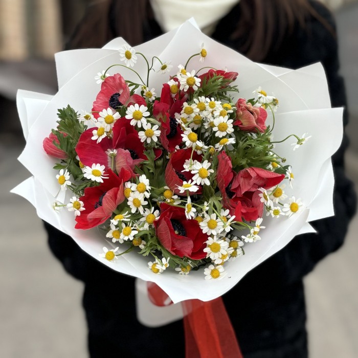 11 красных анемонов с ромашками