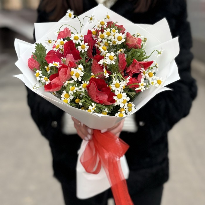 11 красных анемонов с ромашками