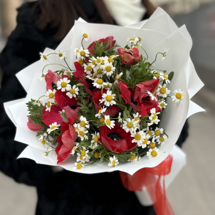 11 красных анемонов с ромашками