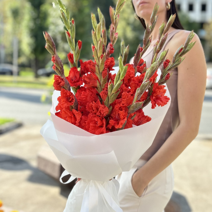 11 красных гладиолусов
