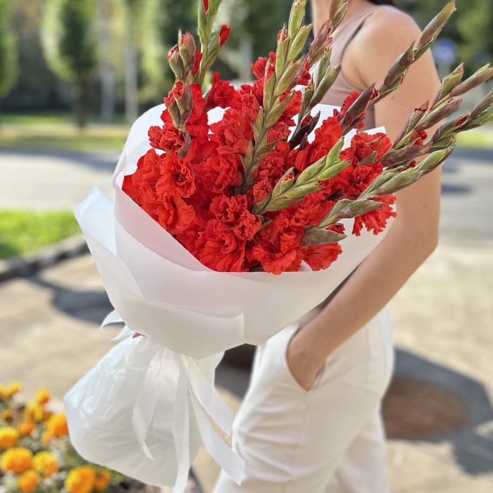 11 красных гладиолусов