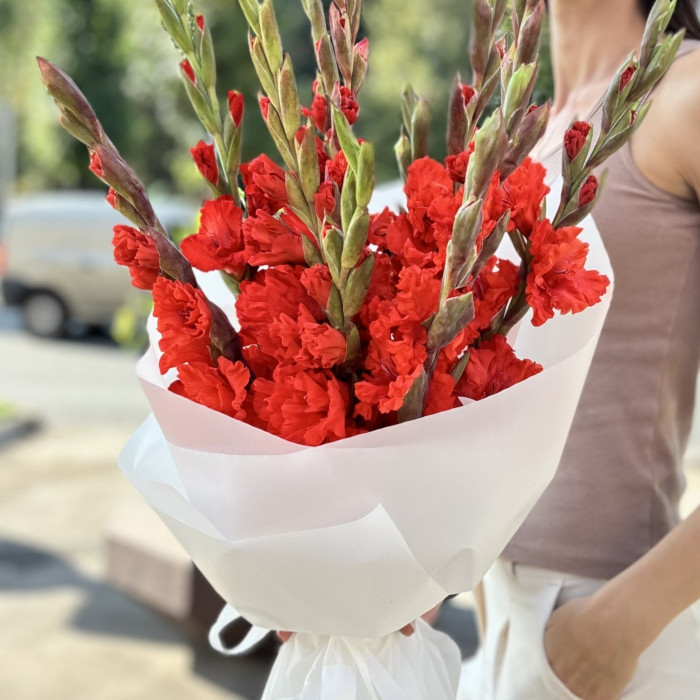 11 красных гладиолусов